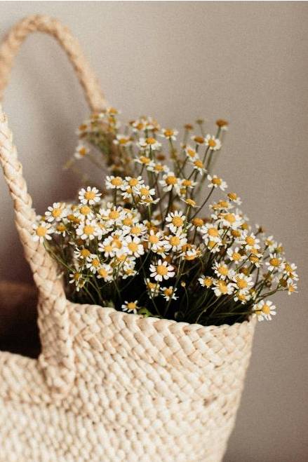 Arrangement 1