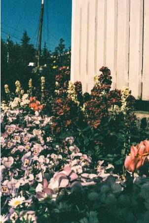 Arrangement 2