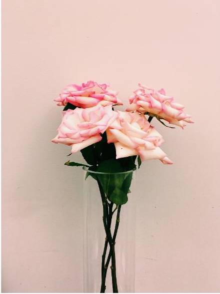 Arrangement 3